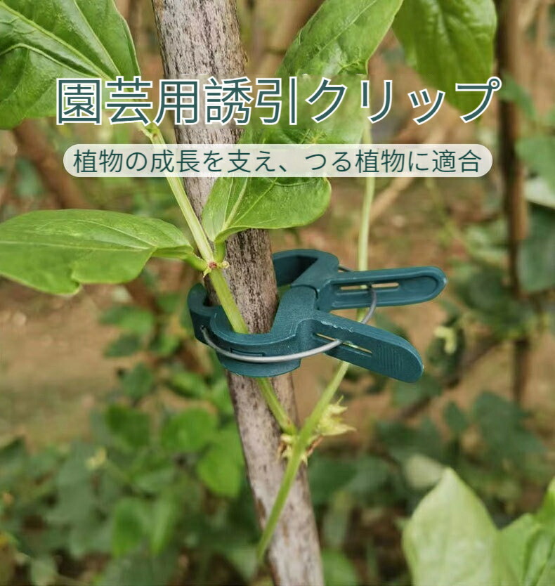 楽天市場】【20個入】 誘引クリップ 園芸用クリップ 植物用クリップ
