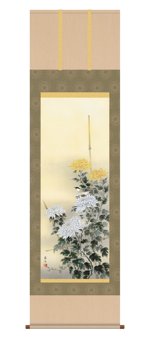 楽天市場】掛け軸 掛軸（かけじく）[尺五立]流麗菊花(高見 蘭石)全国