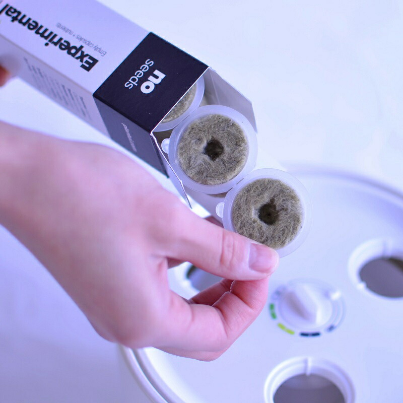 楽天市場】【アウトレット品80％OFF】Plantui 6 北欧フィンランドの水