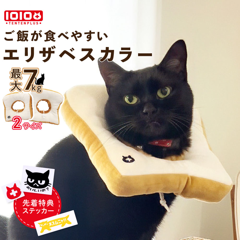 pt-cat11ttpl101.jpg