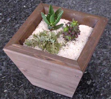 楽天市場】寄せ植えプランター（深底）XSサイズ幅21cm×奥行21cm×高さ