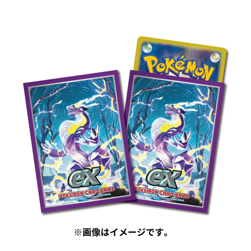 楽天市場】ポケモンセンターオリジナル ポケモンカードゲーム デッキ