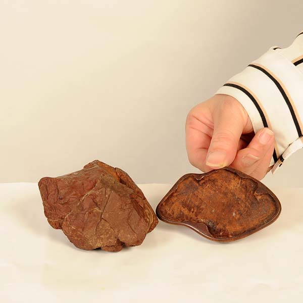 楽天市場】水石：加茂川畚下石 茅舎【現品】*資材 カモガワフゴオロシ