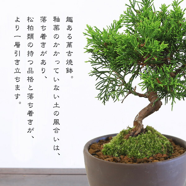 y3030-2024-3.jpg