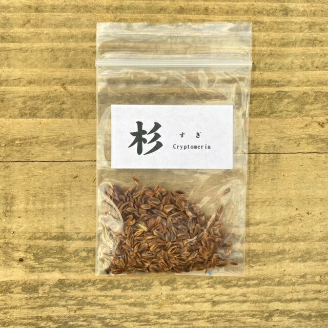 杉 盆栽」の人気商品一覧 | 安い商品を通販サイトから探す - 価格.com