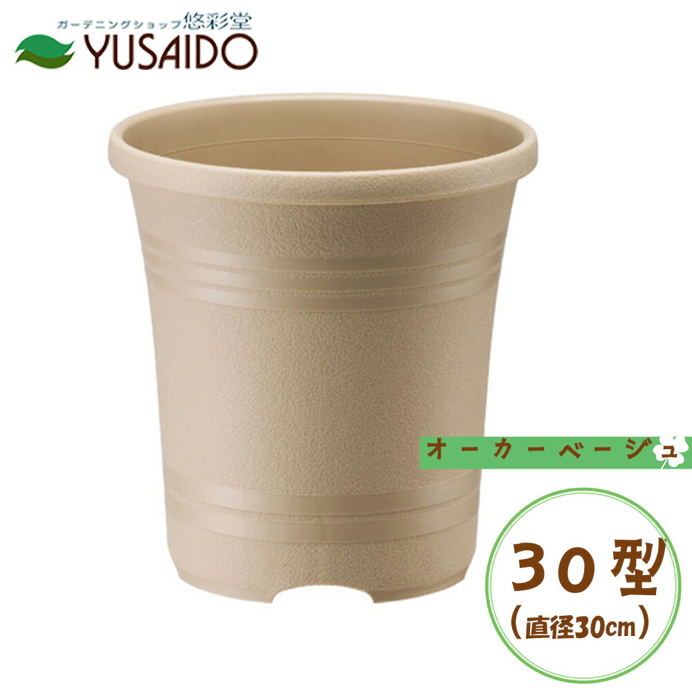 楽天市場】薔薇 鉢 9号の通販
