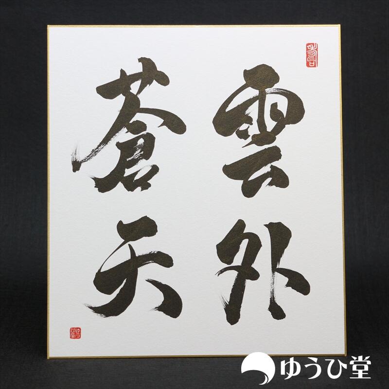 楽天市場】雲外蒼天 プロの書道家が毛筆で揮毫 新発売記念価格 書道