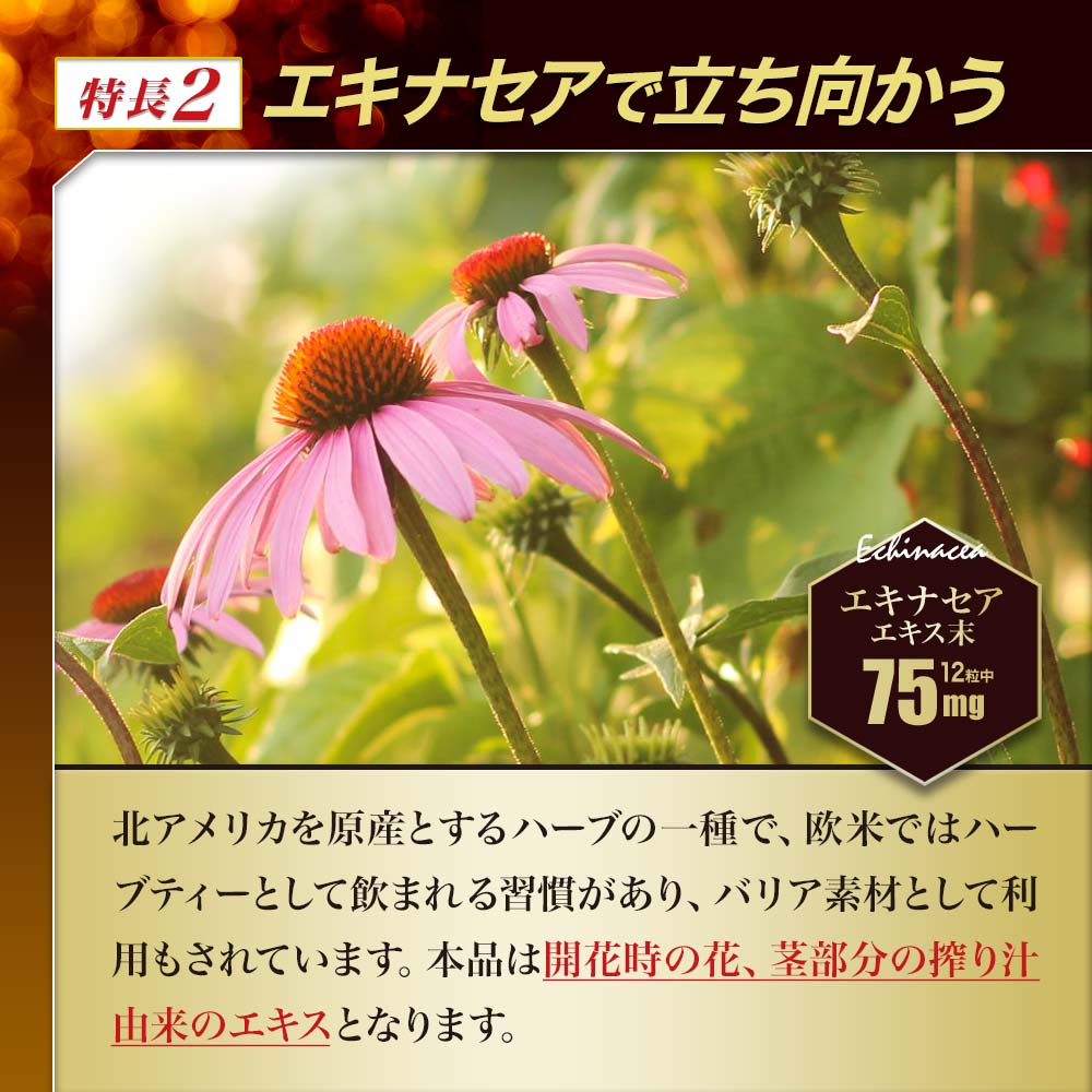 楽天市場】【訳あり】 水溶性アガリクスDX 360粒 約30日分 賞味期限