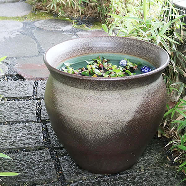 楽天市場】スイレン鉢 大型 陶器水鉢 信楽焼 水鉢 鉢 金魚鉢 めだか鉢