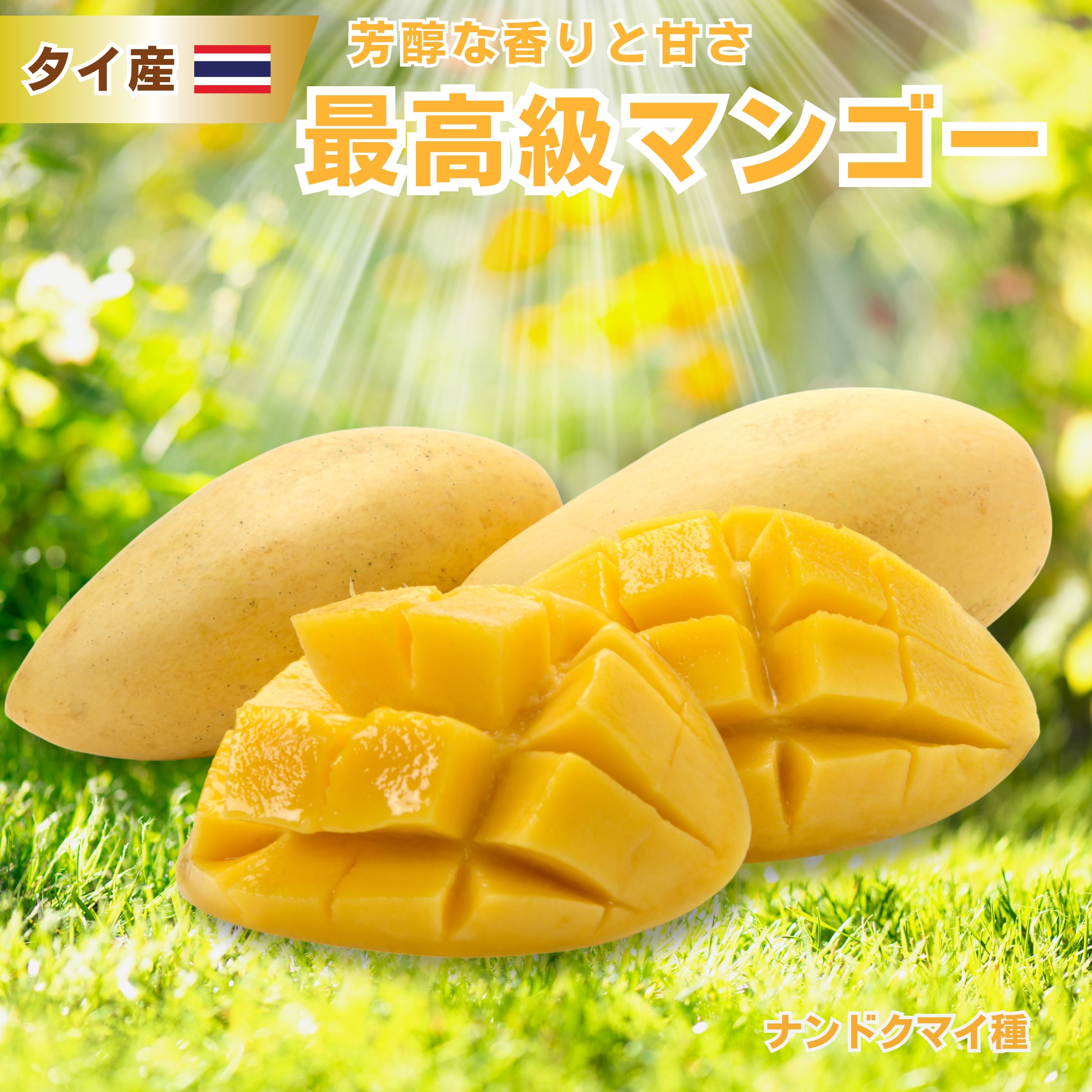 楽天市場】＼最高級マンゴー／タイ産 ナンドクマイマンゴー 選べる数量