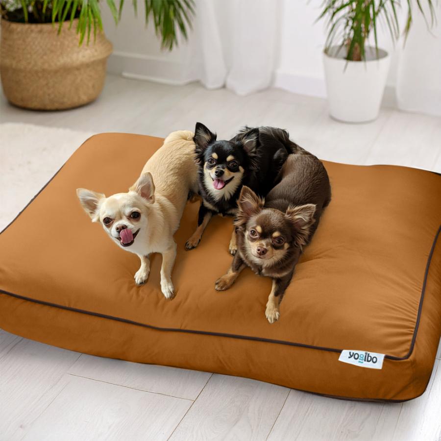 楽天市場】【オンラインストア限定】 大型犬サイズのペットベッド 多頭
