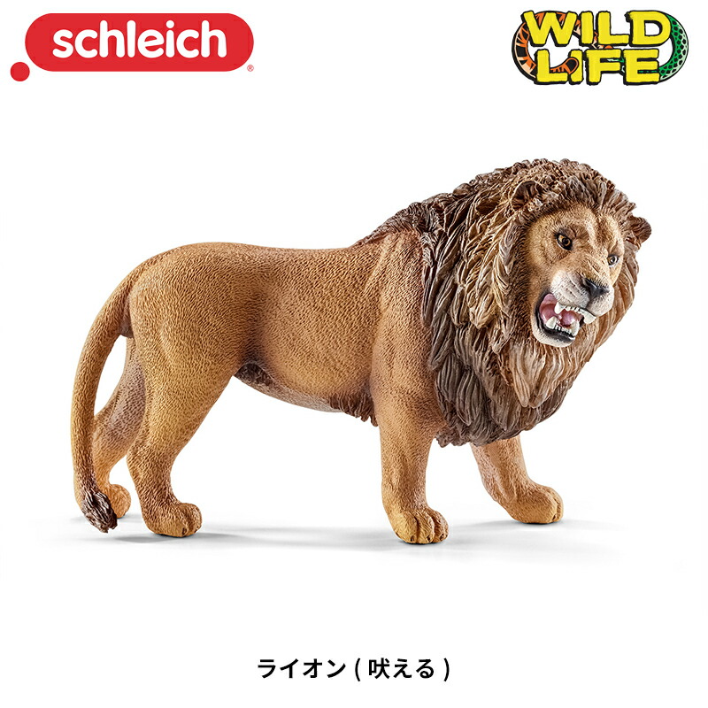 楽天市場】ライオン(吠える) 動物フィギュア 14726 Wild Life ワイルド
