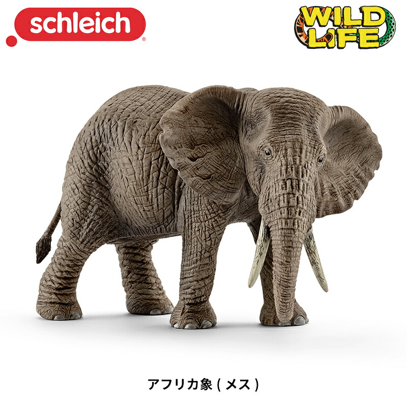 楽天市場】アフリカ象(メス) 動物フィギュア 14761N Wild Life