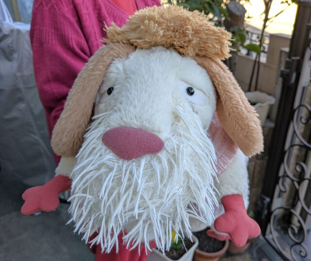ジブリパークヒンのぬいぐるみ再入荷 再販後1か月平日含む何時に並ぶか