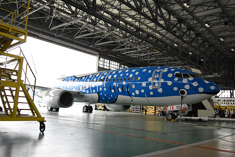 日本トランスオーシャン航空、地元小学生らを招いて特別塗装機「新