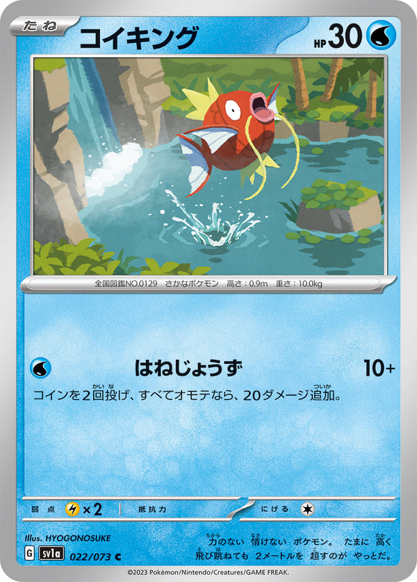 042987_P_KOIKINGU_600x.jpg?v=