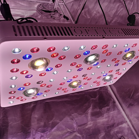 Buy Optic LED Optic 6 Gen3 Grow Light | Lowest Price Guaranteed