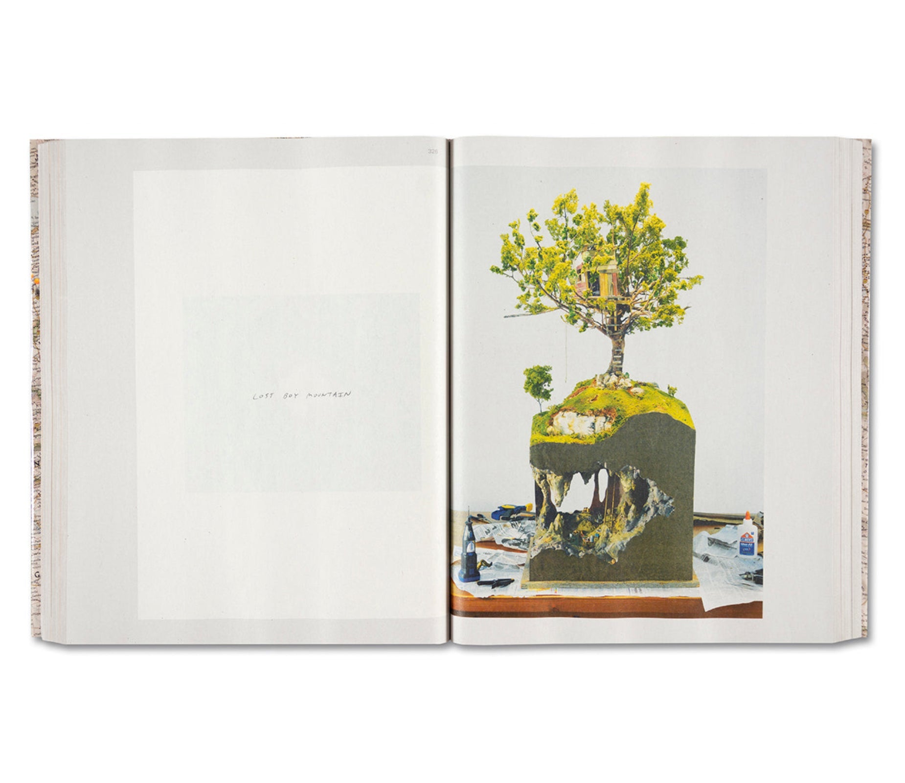 GATHERED LEAVES ANNOTATED by Alec Soth – twelvebooks