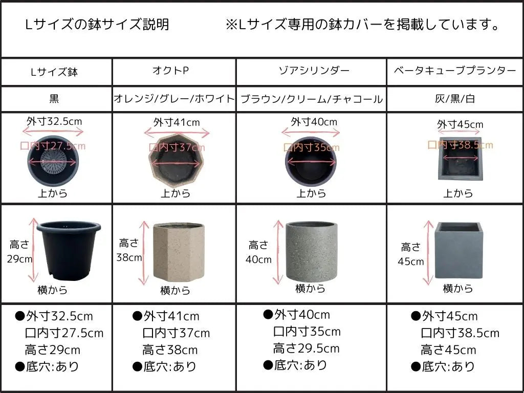 NEWフラントイオ（オリーブの木）｜Lサイズ｜K-338｜約160cm｜人気