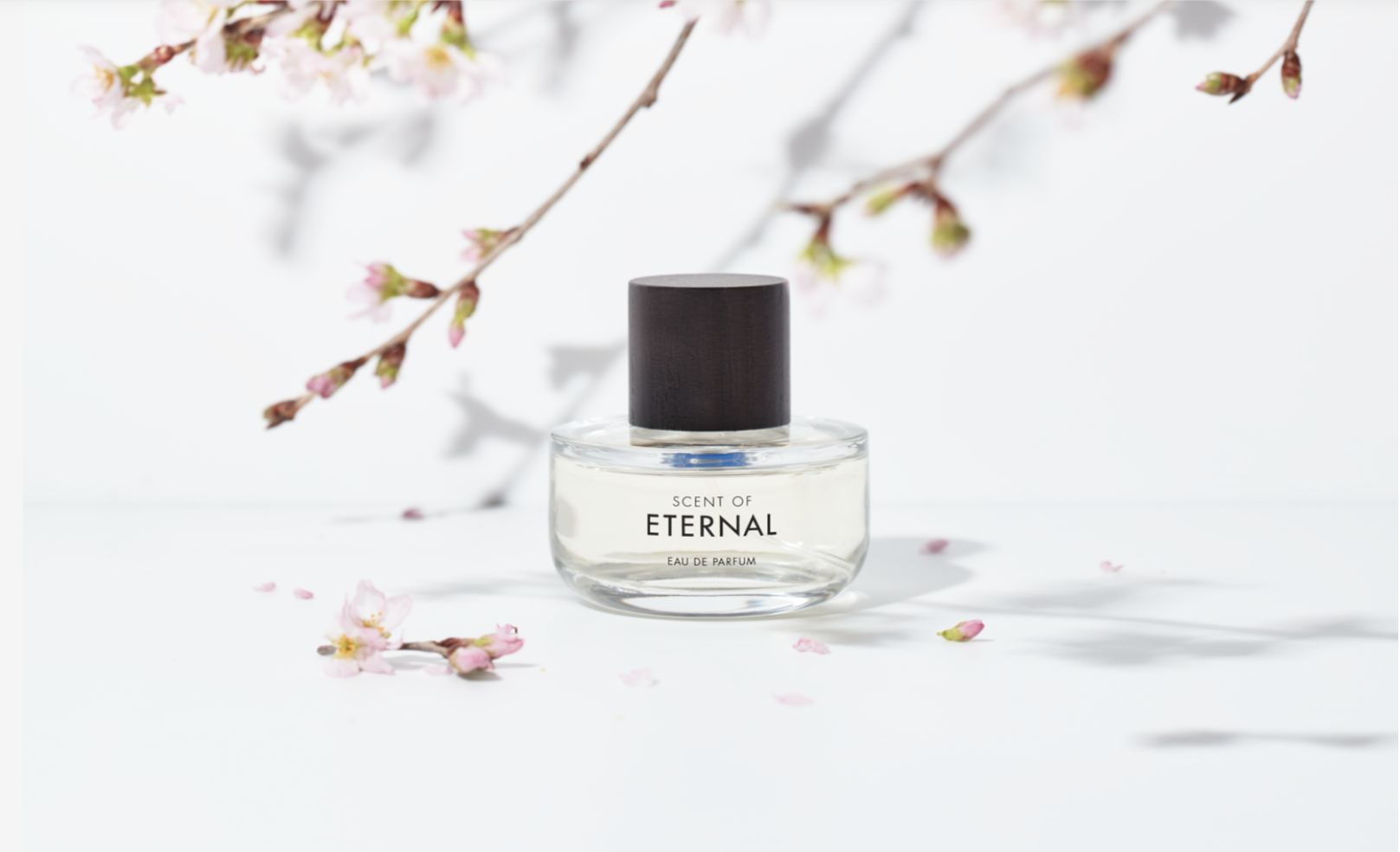 JIN AKANISHI ⾚⻄仁プロデュース「SCENT OF ETERNAL（セントオブ