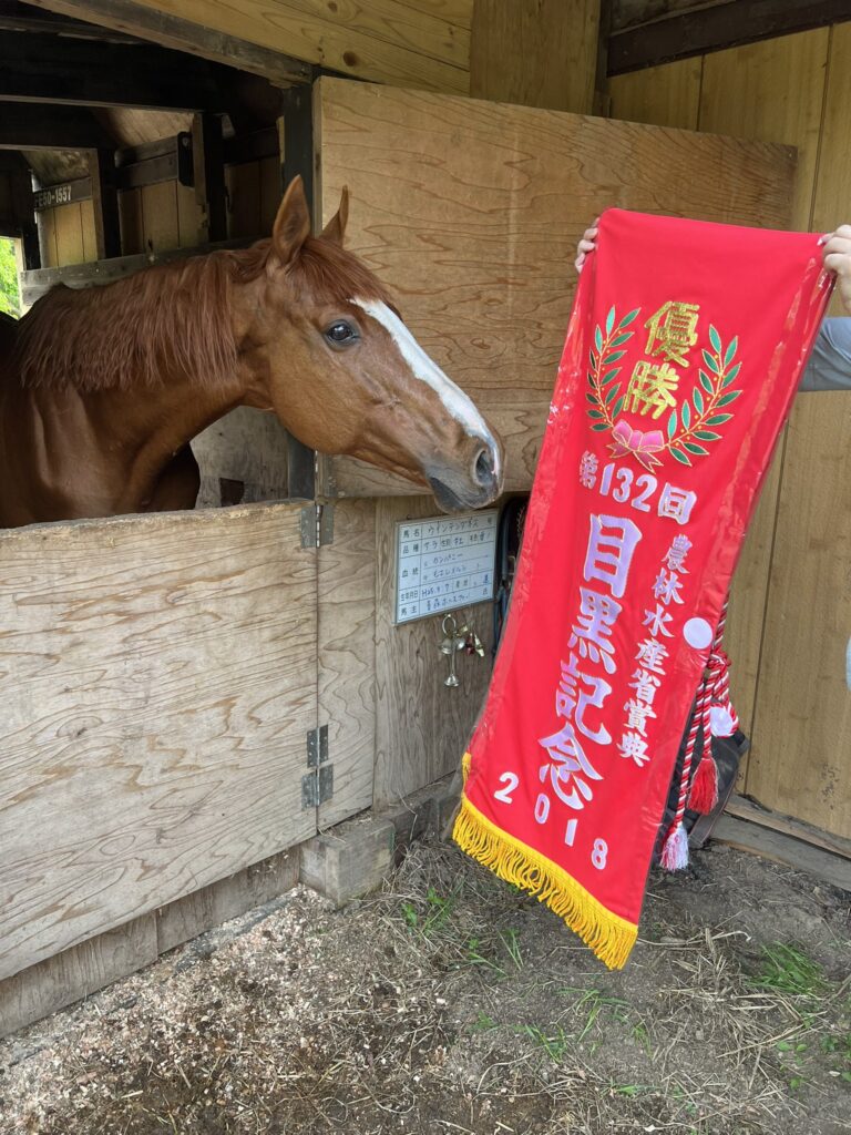インタビュー］青森の乗馬クラブで種牡馬を！ カンパニー産駒ウイン