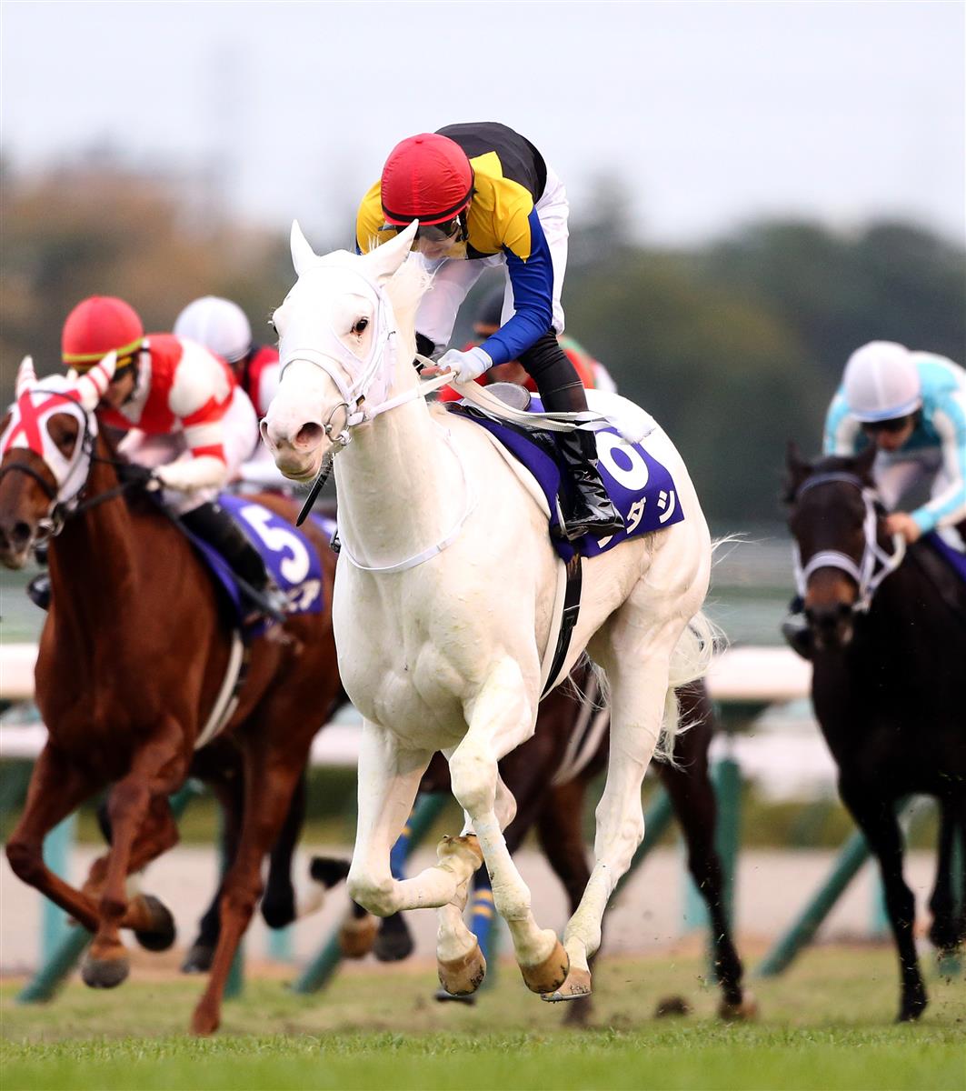 阪神JF】4戦無敗で2歳女王！ソダシ白毛馬史上初GI制覇｜競馬