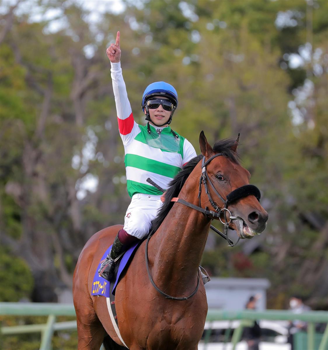 無傷4連勝エフフォーリア、横山武と頂点へ｜競馬ニュース｜競馬予想の