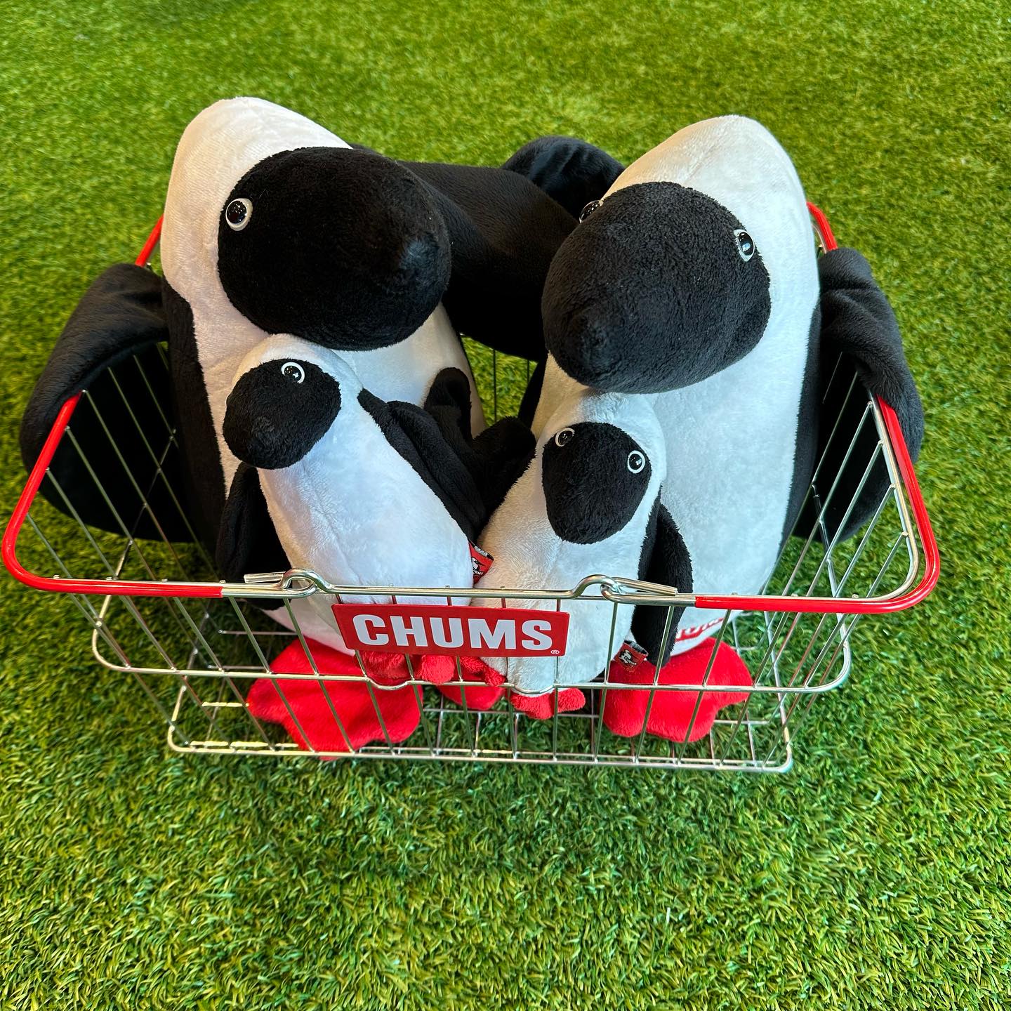 CHUMS（チャムス）アウトドアアイテム｜スチールバスケット
