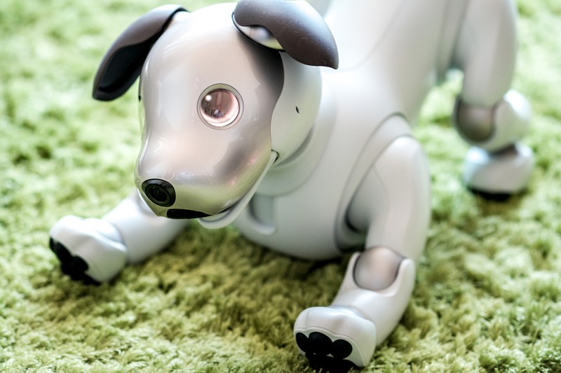 ソニーの「aibo」が“超”進化していた件 | エレクトロニクス | LEON
