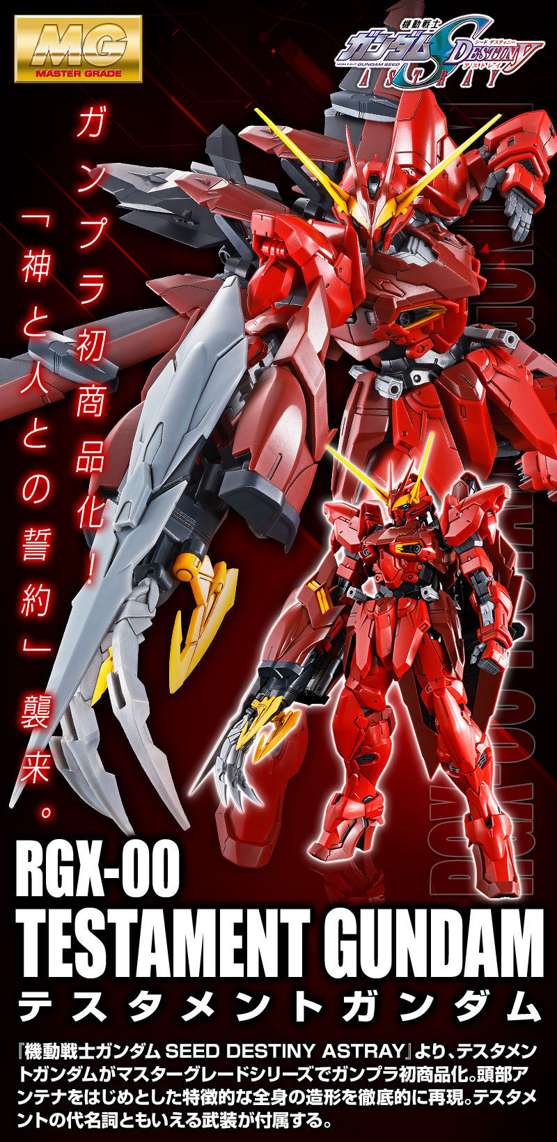 MG テスタメントガンダム 本日6月22日 13時より予約開始！！