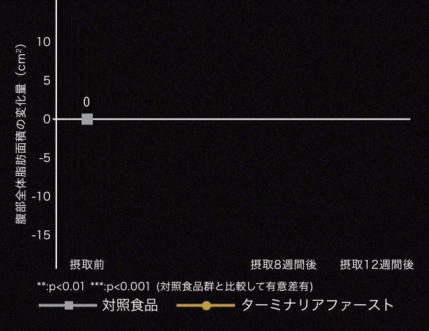 グルメサプリ 〉ターミナリアファーストで食事を愉しむ｜ビタブリッド