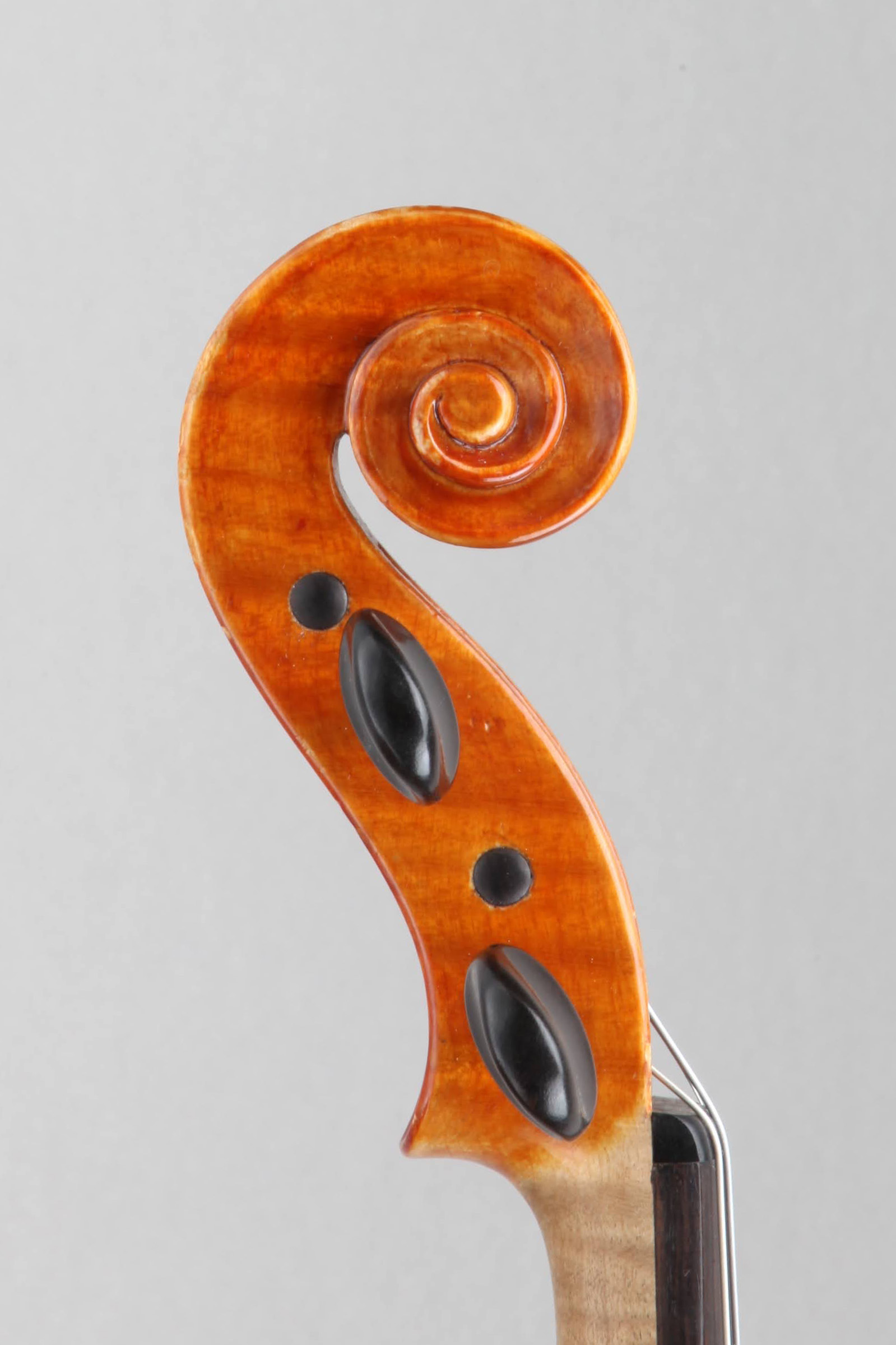 VIRTUOSO VIOLINS -ヴィルトゥオーゾ ヴァイオリン- » Giuseppe Lucci