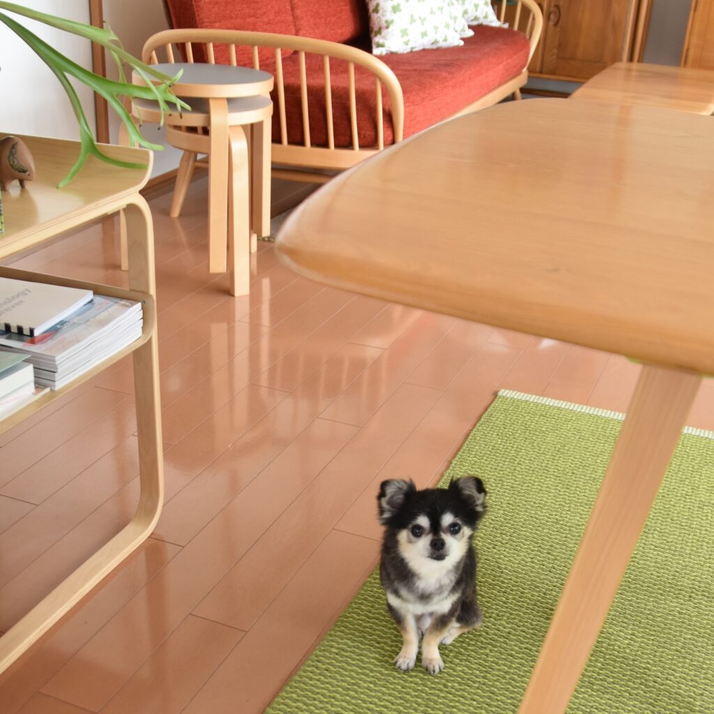Artek◇リビング・ダイニングまわりのアルテック3本脚スツールの使い方