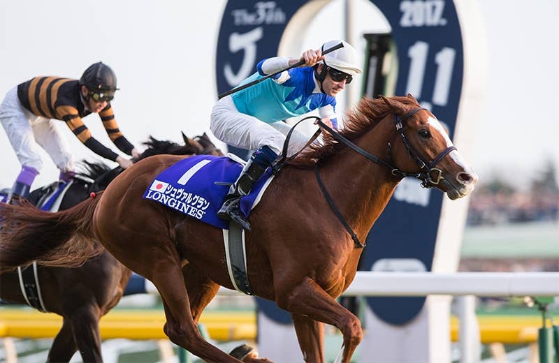 シュヴァルグラン（Cheval Grand） | 競馬データベース | JRA-VAN