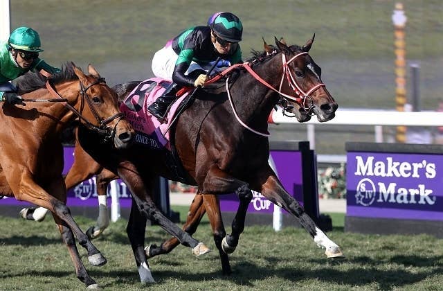 香港カップ】日本馬による3連勝なるか!? 香港カップ近5年のレース傾向