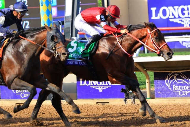 2025ブリーダーズカップ | JRA-VAN World - 海外競馬情報サイト