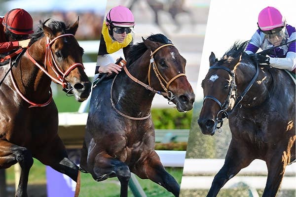 ニジンスキー（Nijinsky） | 競馬データベース | JRA-VAN World - 海外