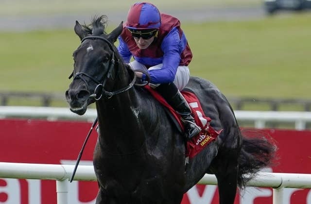 ロスアンゼルスが障害レース用種牡馬に、愛ダービーなど3年連続G1制覇