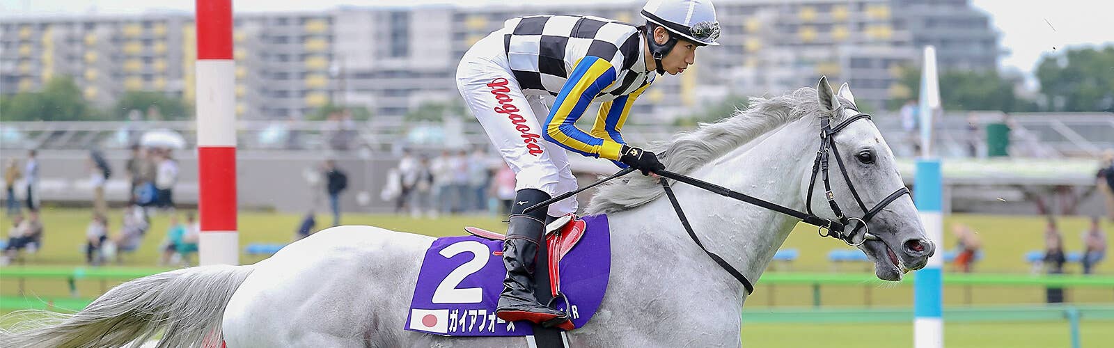 出馬表 | 2025香港チャンピオンズマイル | JRA-VAN World - 海外競馬
