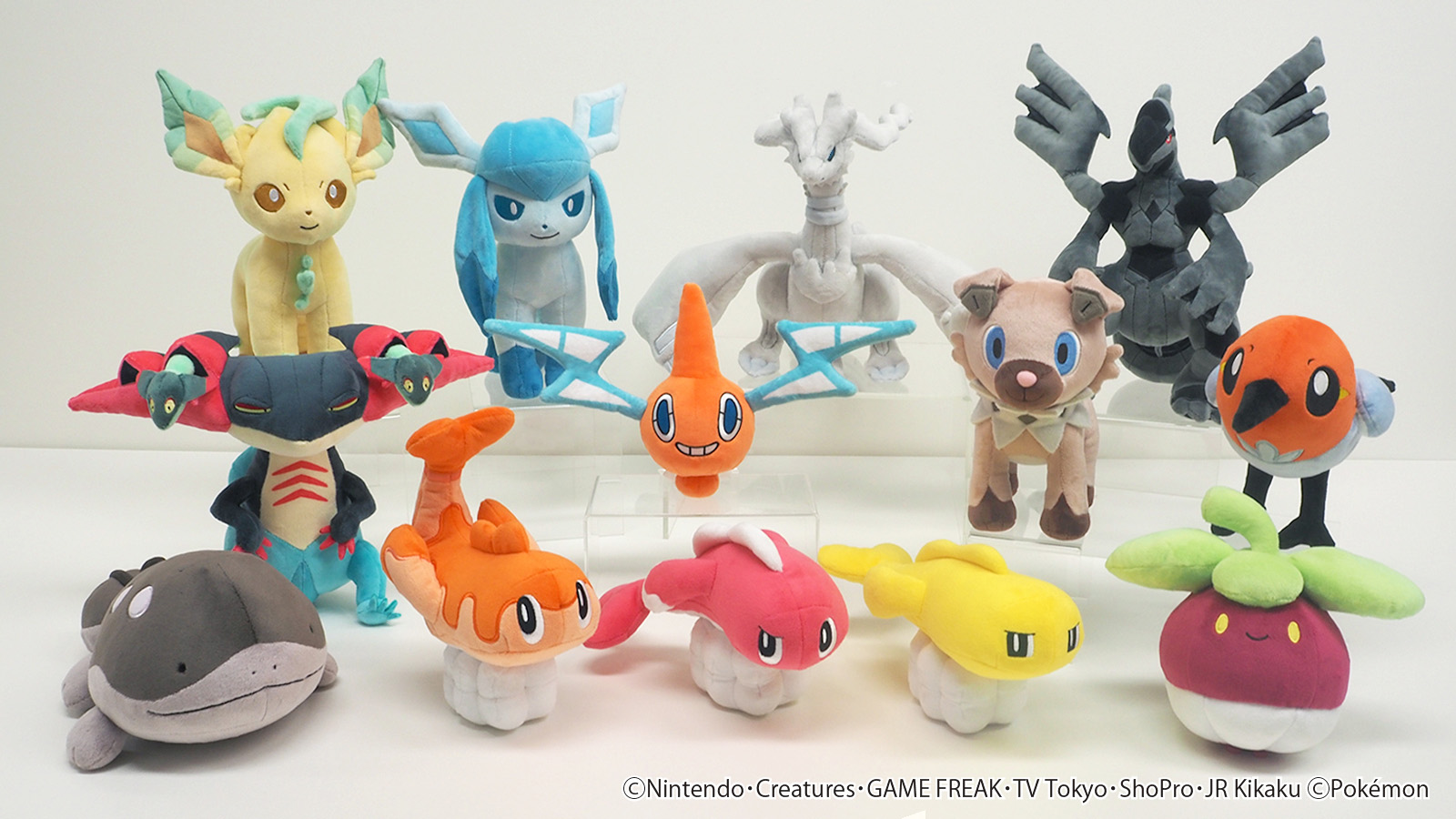 画像ギャラリー No.001 | ぬいぐるみ「ポケットモンスターALL STAR