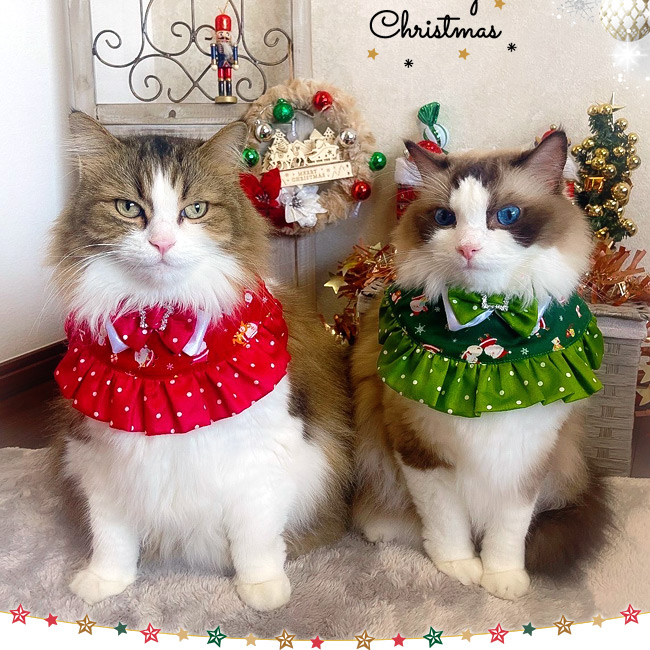 ワンタッチコーデ クリスマスふりふりフリル ゴロにゃんオリジナル 袖
