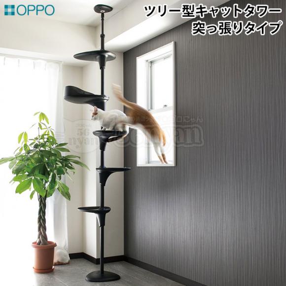 OPPO CatForest2 キャットフォレスト2 ブラック (04351) Cat Forest-2