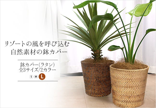 ラタンの鉢カバー(バスケットやゴミ箱にも)通販｜《公式》アジアン
