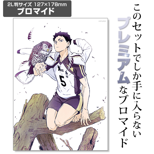 ☆限定☆【ブロマイドつき】赤葦京治 100cmタペストリー [ハイキュー