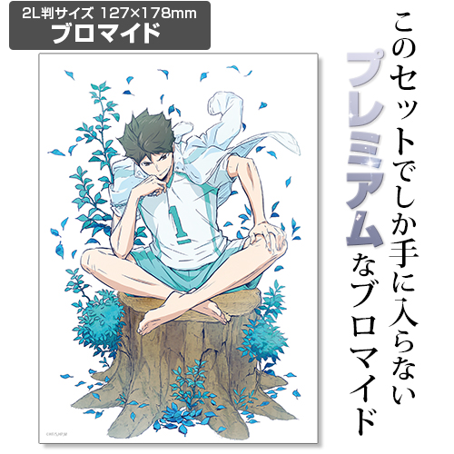 ☆限定☆【ブロマイドつき】及川徹 100cmタペストリー [ハイキュー