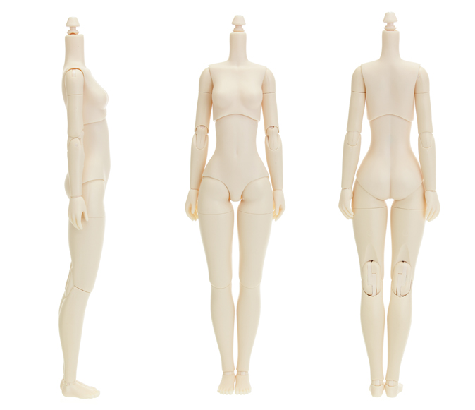 26BD-F01 26cmオビツボディ [Obitsu Body] | 公式キャラクターグッズ