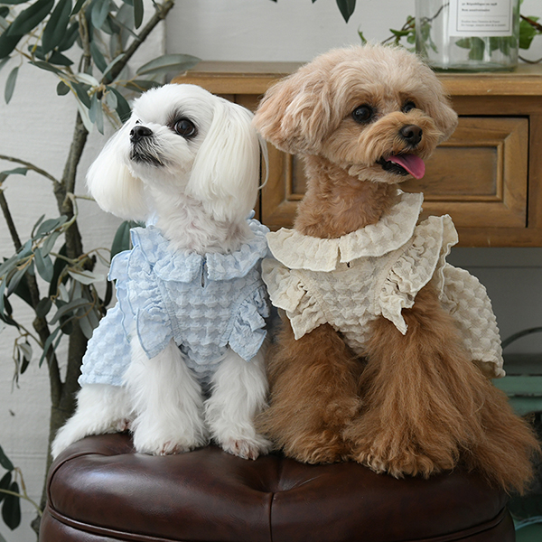 ROPE PICNIC（ロペピクニック）ぽこぽこカットソー | 犬服・ドック