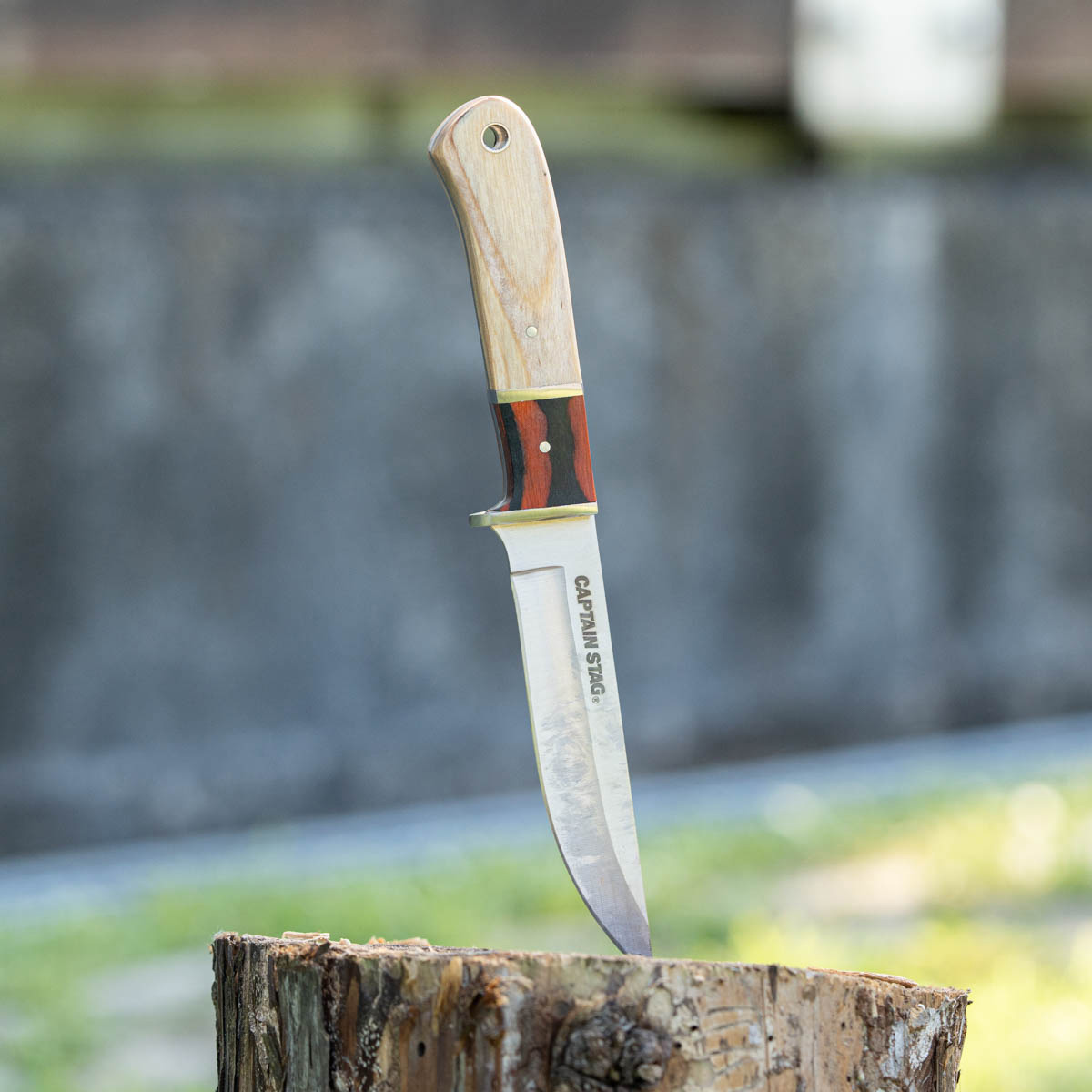 CS フィールドナイフ 115（シース付） - アウトドア・キャンプ用品