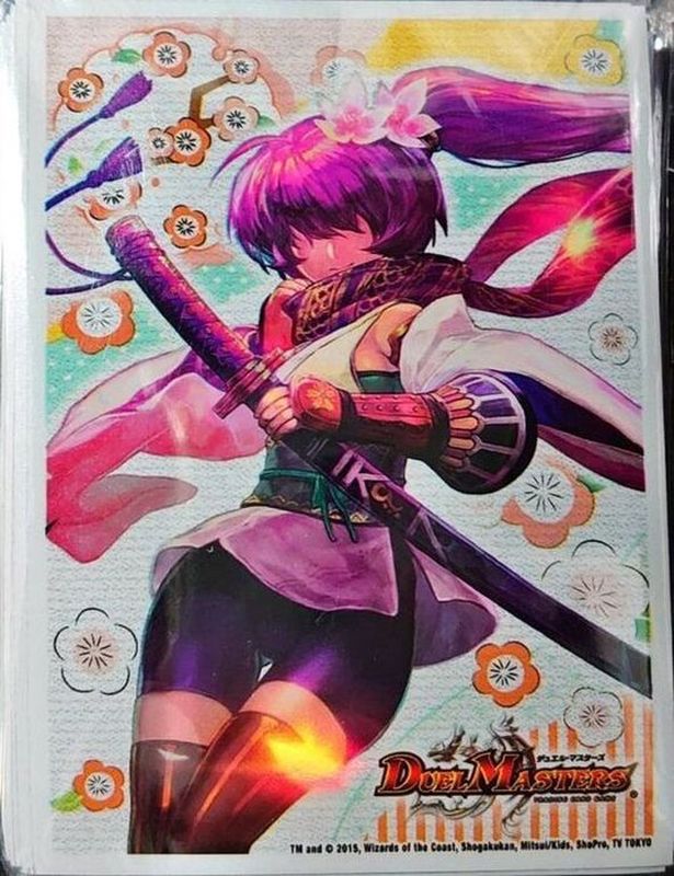 爆熱血 ロイヤル・アイラ デュ円キャンペーン カードプロテクト