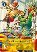 ST18]スタートデッキ 旋風の守護者&[ST19]スタートデッキ 童話の舞踏